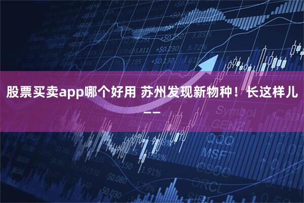 股票买卖app哪个好用 苏州发现新物种！长这样儿——
