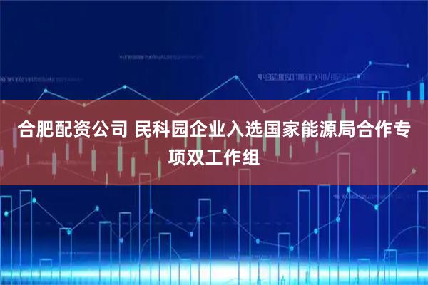合肥配资公司 民科园企业入选国家能源局合作专项双工作组